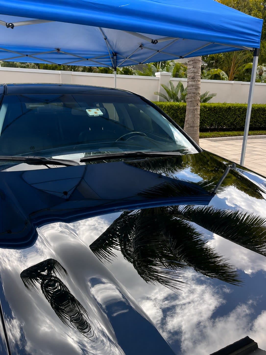 Bubble Drive Detailing — Home & Auto in Miami