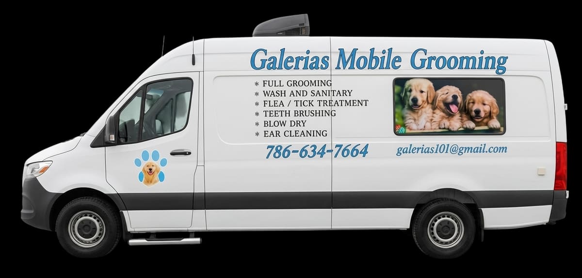 Galerias Mobile Pet Grooming — Pet Care in Fort Lauderdale