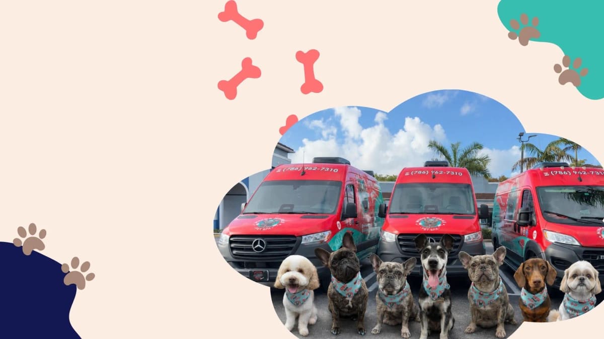 Minna Mobile Pet Spa — Pet Care in Miami