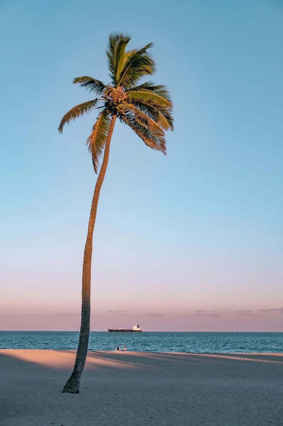 Rosewood Touch — Massage & Spa in North Miami Beach