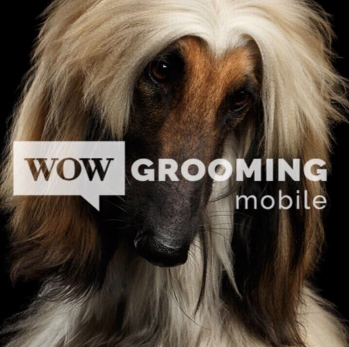 Wow Grooming Mobile Pet Grooming — Pet Care in Miami