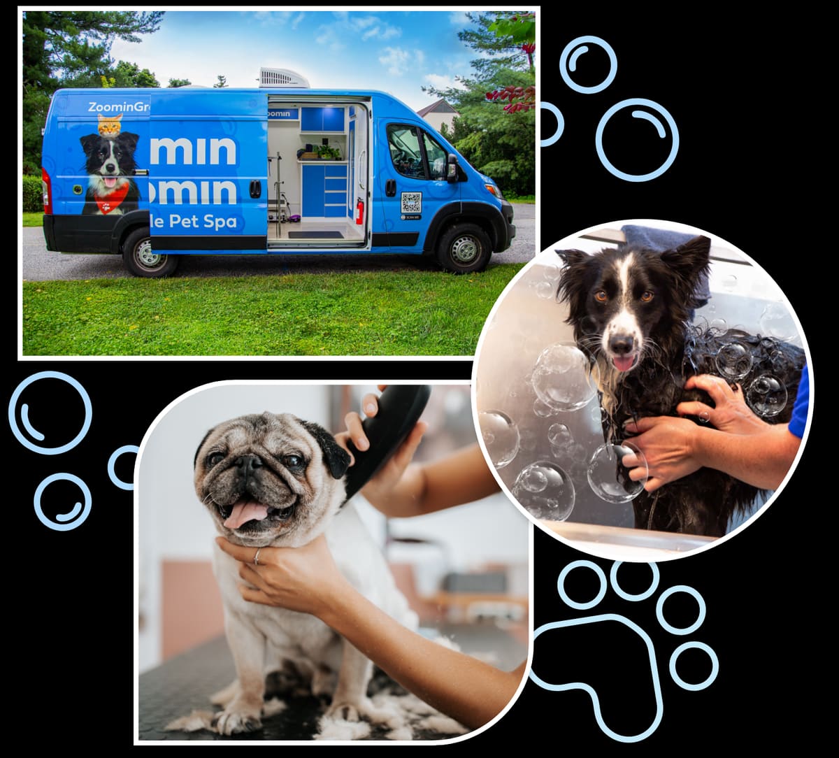 Zoomin Groomin - South Fort Lauderdale — Pet Care in Fort Lauderdale